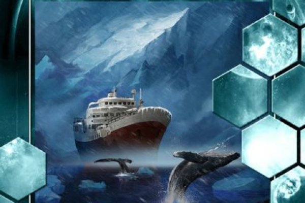 Kraken даркнет что это