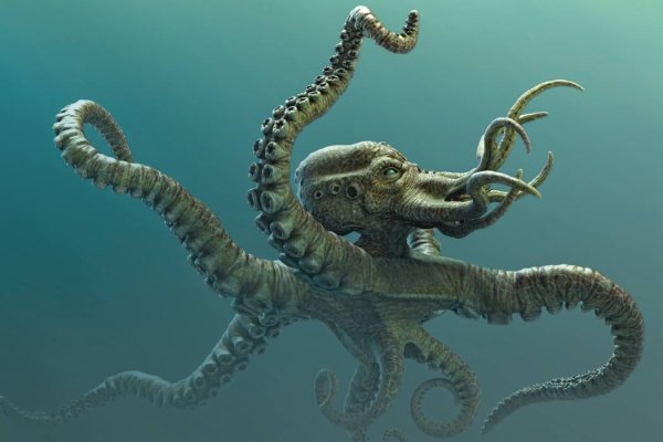 Kraken com зеркало