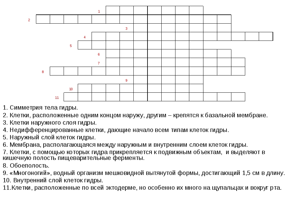 Kraken tor зеркало