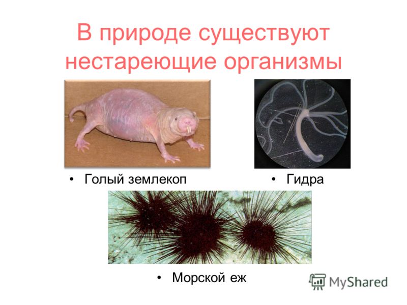 Не могу зайти на сайт кракен